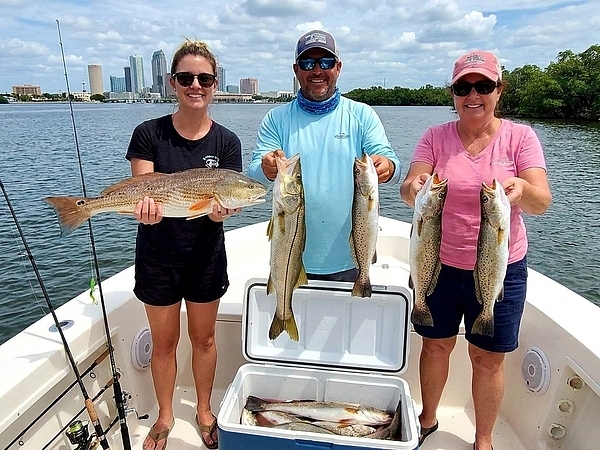 Can You Catch Multiple Fish Species on One Tampa Fishing Charter?