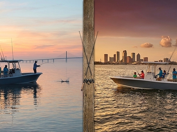 Should You Book a Morning or Afternoon Tampa Fishing Charter?