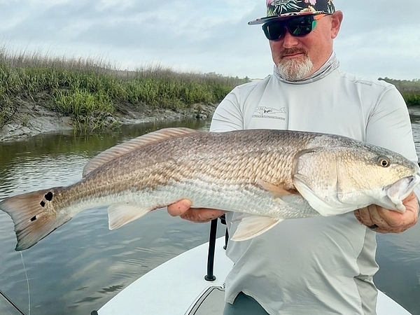 How to Book a Last-Minute Fishing Charter in Tampa