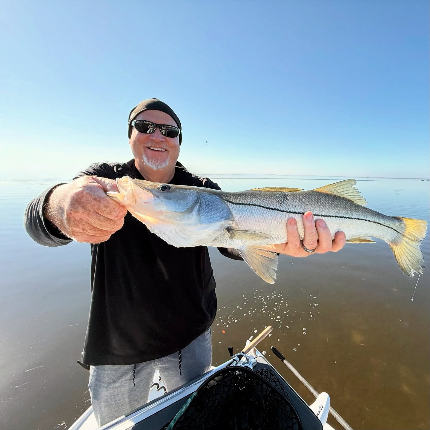 Finding Snook in Tampa Bay Throughout the Year