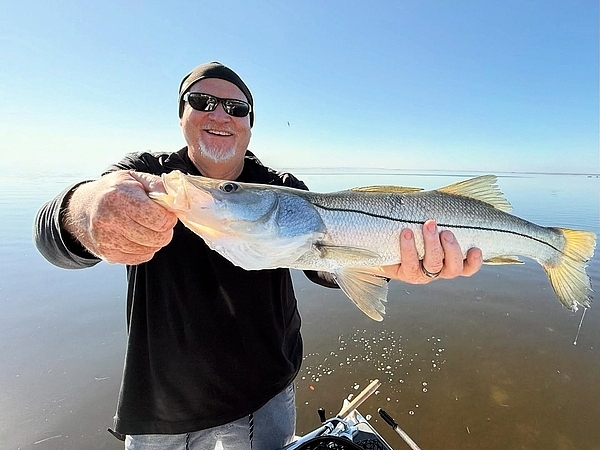 Finding Snook in Tampa Bay Throughout the Year