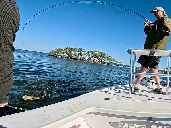 Fishing on the Tampa Bay Flats During Busy Seasons
