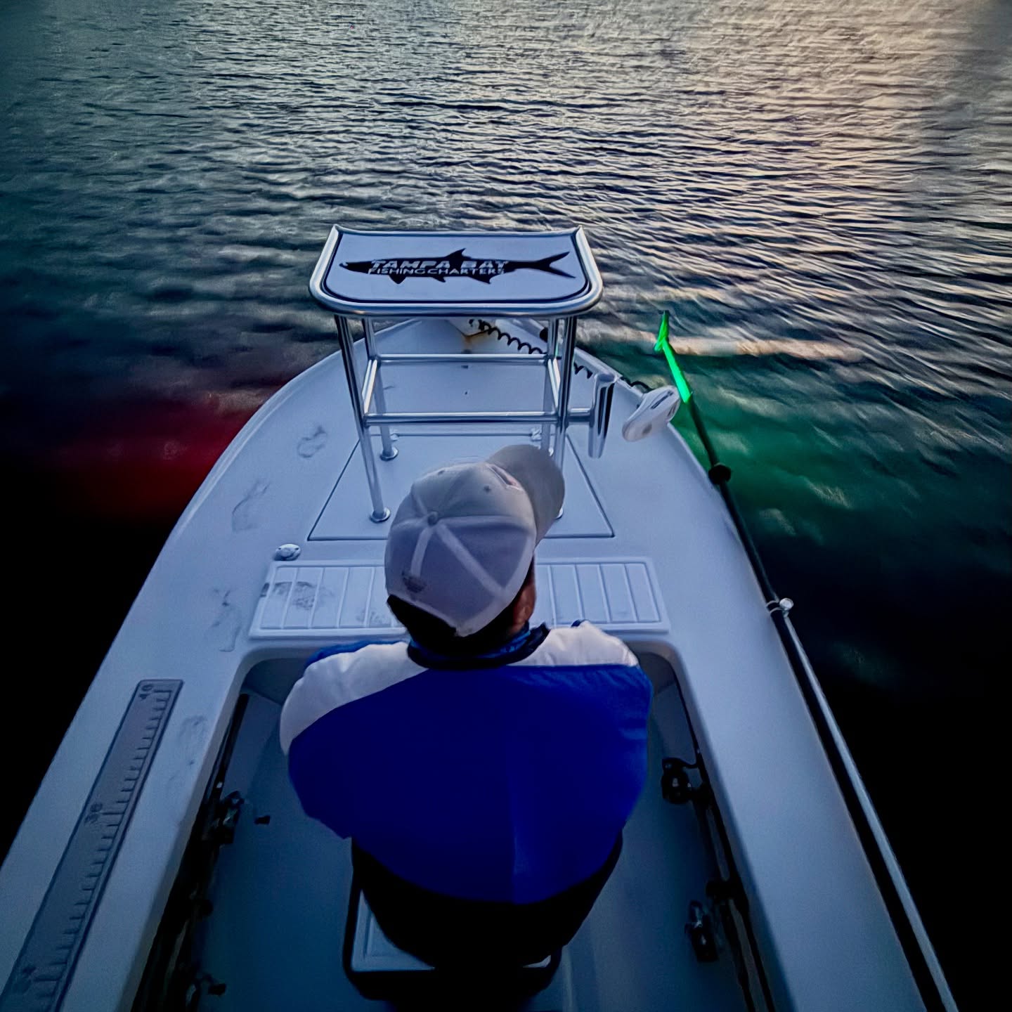 How Local Conditions Change Fish Activity in Tampa Bay