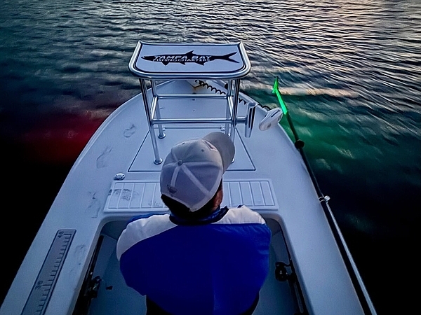 How Local Conditions Change Fish Activity in Tampa Bay