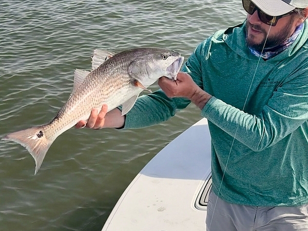 Identifying Fish Species in Tampa Bay Waters