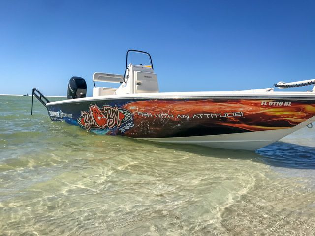 How to Read the Tides for a Better Day of Fishing in Tampa Bay