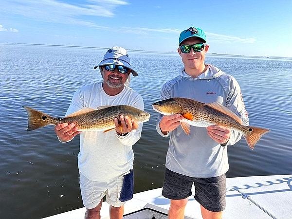 Can You Catch Redfish Year-Round on a Tampa Fishing Charter?