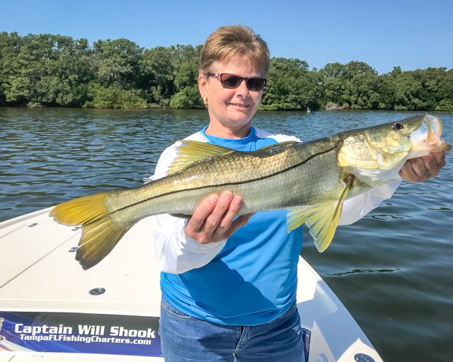 How Much Do You Tip For A 4-Hour Fishing Charter in Tampa?