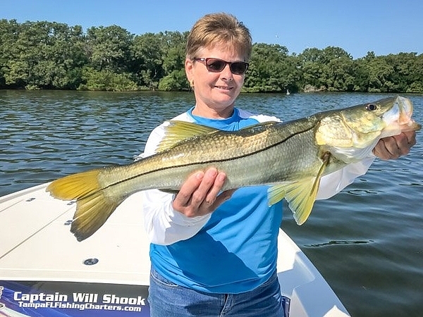 How Much Do You Tip For A 4-Hour Fishing Charter in Tampa?