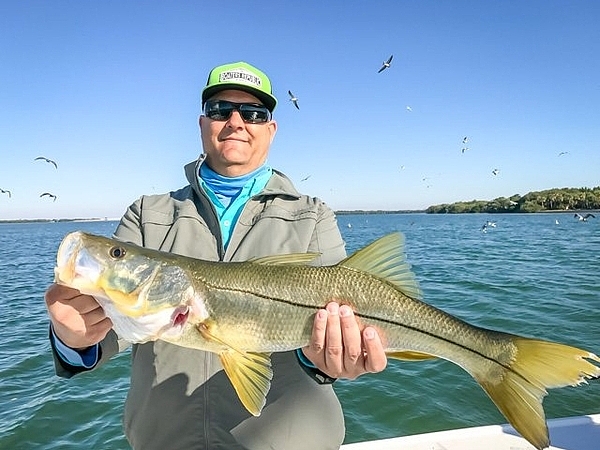 What Fish Are Biting In Tampa?