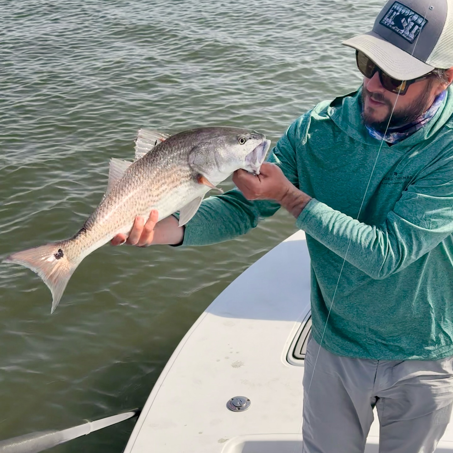 Identifying Fish Species in Tampa Bay Waters