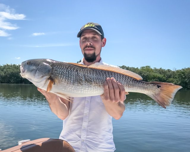 Anglers enjoying a half day fishing charter in Tampa Bay, catching inshore species and having fun on the water