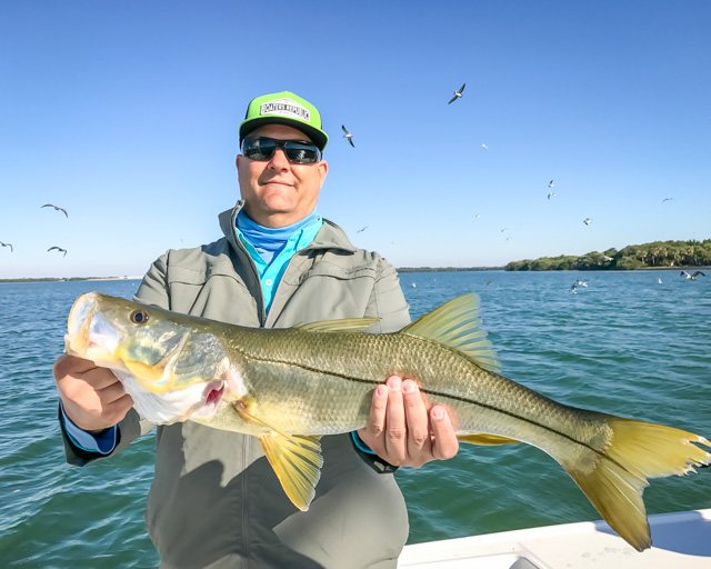 What Fish Are Biting In Tampa?